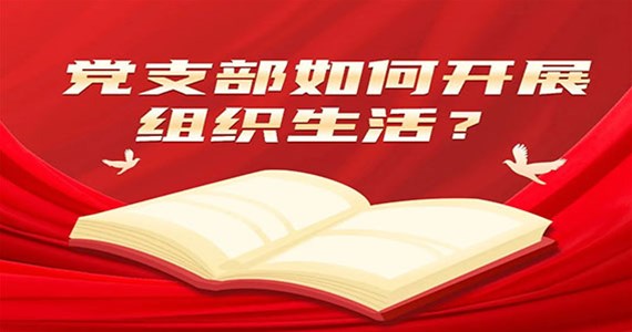 公海赌赌船官网jc710红·创先锋｜党支部如何开展组织生活？
